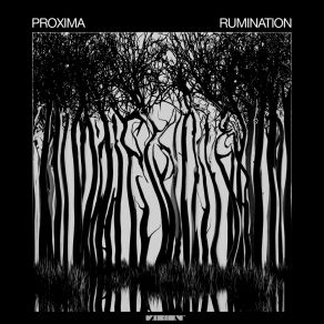 Download track Similitude Proxima