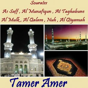 Download track Sourate Al Qiyamah (Hafs Muratal) Tamer Amer