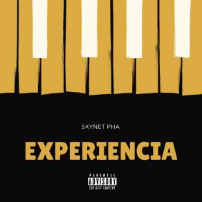 Download track Te Quiero Tenerte Skynet Pha