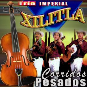 Download track El Coyote Matrero Trio Imperial Xilitla