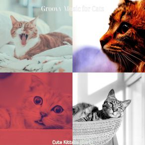 Download track Inspiring (Kittens) Groovy Music For Cats