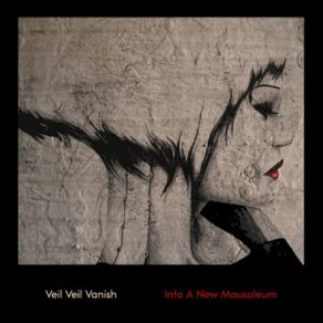 Download track Into A New Mausoleum Veil Veil Vanish