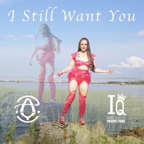 Download track I Still Want You (Instrumental Version) Aynjewl Faycc