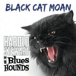 Download track Blame The Blues Hounds, Harold Stewart
