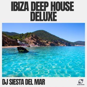 Download track House Grooves Dj Siesta Del Mar