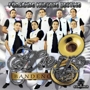 Download track Como Yo Te Quiero Hierro Forjado