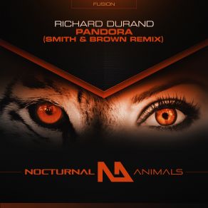 Download track Pandora (Smith & Brown Extended Remix) Richard Durand, Smith