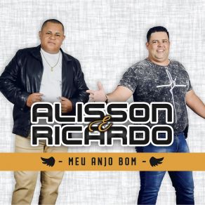 Download track Tem Dia Pra Tudo Alisson