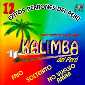 Download track Frío Grupo Kalimba Del Perú