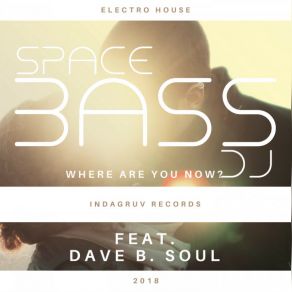 Download track Where Are You Know? (Voca) SPACEBASSDJDave B. Soul