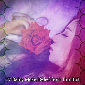 Download track Drizzle For Thought Rain Sounds Nature Collection