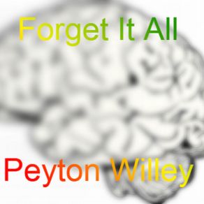 Download track An Ode Of Nothing (Forget It All) Peyton Willey