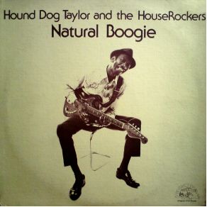 Download track Buster'S Boogie Hound Dog Taylor