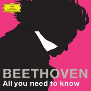 Download track 33 Piano Variations In C Major, Op. 120 On A Waltz By Anton Diabelli: Variation VI. Allegro Ma Non Troppo E Serioso Anatol Ugorski