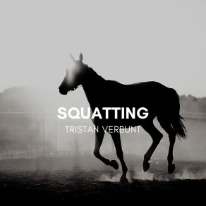 Download track Dynamical Tristan Verbunt