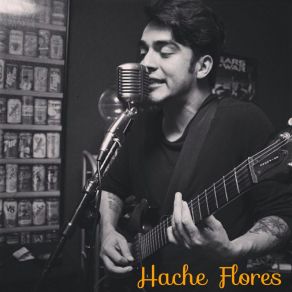 Download track Noviembre 25 Hache Flores