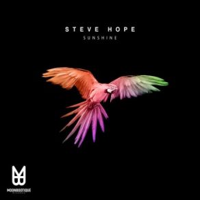 Download track Sunshine (Original Mix) Steve Hope