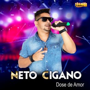 Download track Vida De Gado Neto Cigano