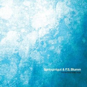 Download track Leben Läuft (Cello Version) Springintgut, S. Blumm