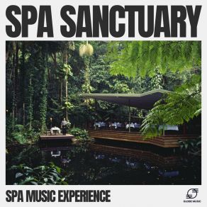 Download track Celestial Cradle Spa Music Experience