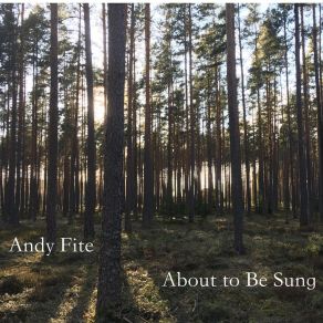 Download track This Worried Morning Andy Fite