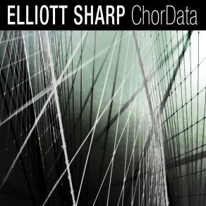 Download track Tranzience 3 Elliott SharpJack Quartet