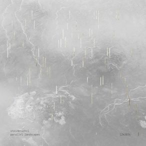 Download track Parallel Landscapes # 3 Steinbruchel, Steinbrьchel