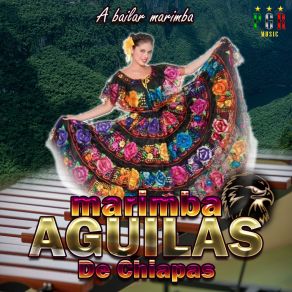 Download track Maria Amanda Marimba Águilas De Chiapas