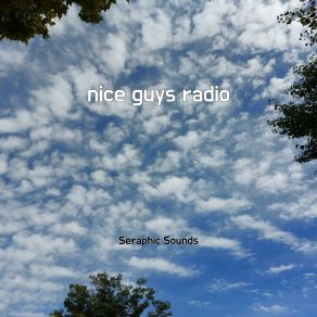 Download track Little Voice Karaoke Seraphic Sounds