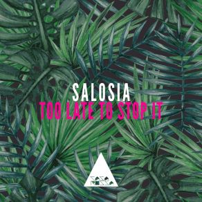 Download track Too Late To Stop It (Salosia Remix) Giulio Grassia