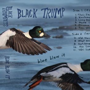 Download track Hevonen Kopsahti Huoneeseen Black Trumpets