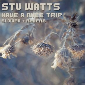 Download track Have A Nice Trip Stu Watts