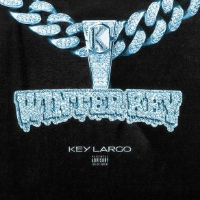 Download track Nu9ve Key Largo