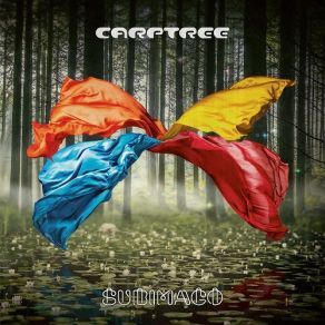 Download track Celestial Sky Carptree