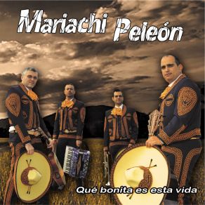 Download track De Qué Manera Te Olvido Mariachi Peleón