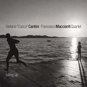 Download track Falling Up Stefano Cocco Cantini