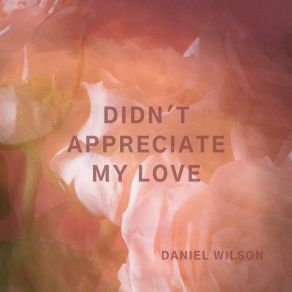 Download track Anomia Middle Daniel Wilson