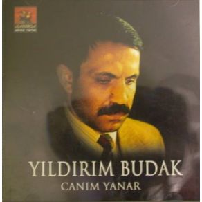 Download track Yeşil Finsan Yıldırım Budak