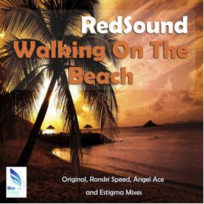 Download track Walking On The Beach (Original Mix) Resound