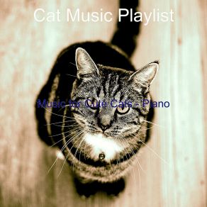 Download track Soulful Moods For Resting Cats Cat Music Playlist