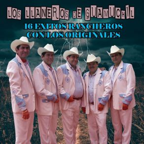 Download track La Vida Del Hombre Los Llaneros De Guamuchil