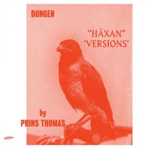 Download track Achmed Flyger (VERSION 1) Dungen