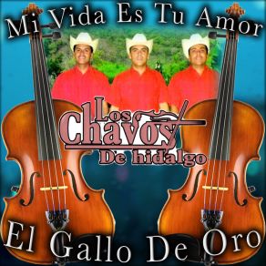 Download track Negar Que Te Amo Los Chavos De Hidalgo