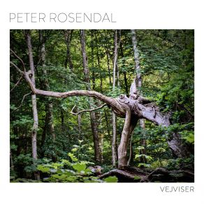 Download track Almindsø Peter RosendalPalle Mikkelborg