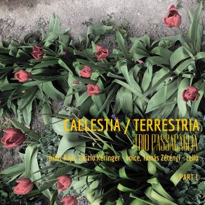 Download track Alleluia Trio Passacaglia