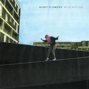 Download track Hey Love Night Flowers