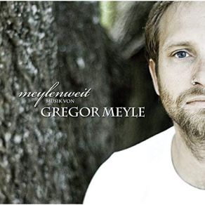 Download track Und Dann Kamst Du Gregor Meyle