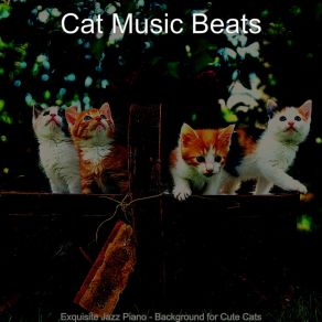 Download track Quiet Relaxing Your Cat Cat Music Beats