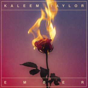 Download track You Would've Loved Me Kaleem Taylor