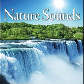 Download track Sounds Of The Amazon Rainforest Relax Music